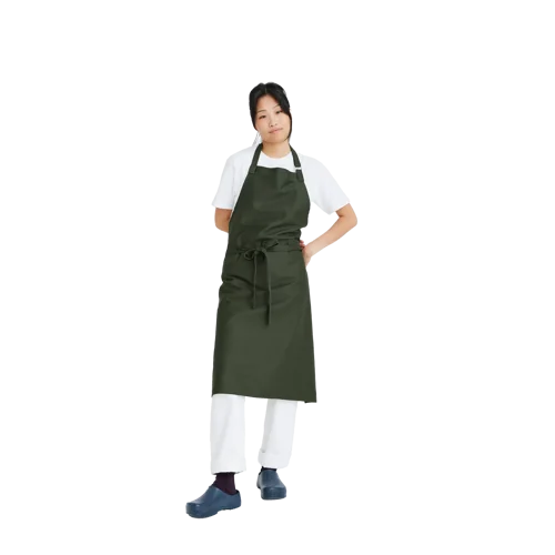 Birdy Apron Model image