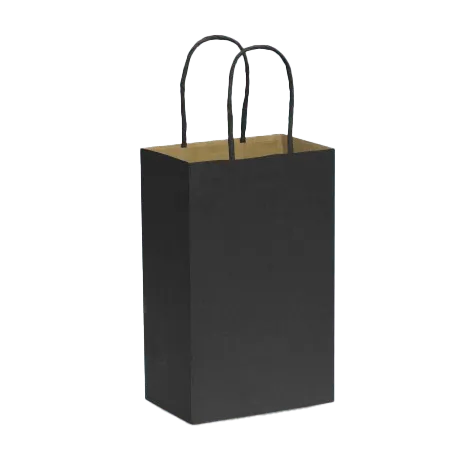 Paper Carry Bag Model image