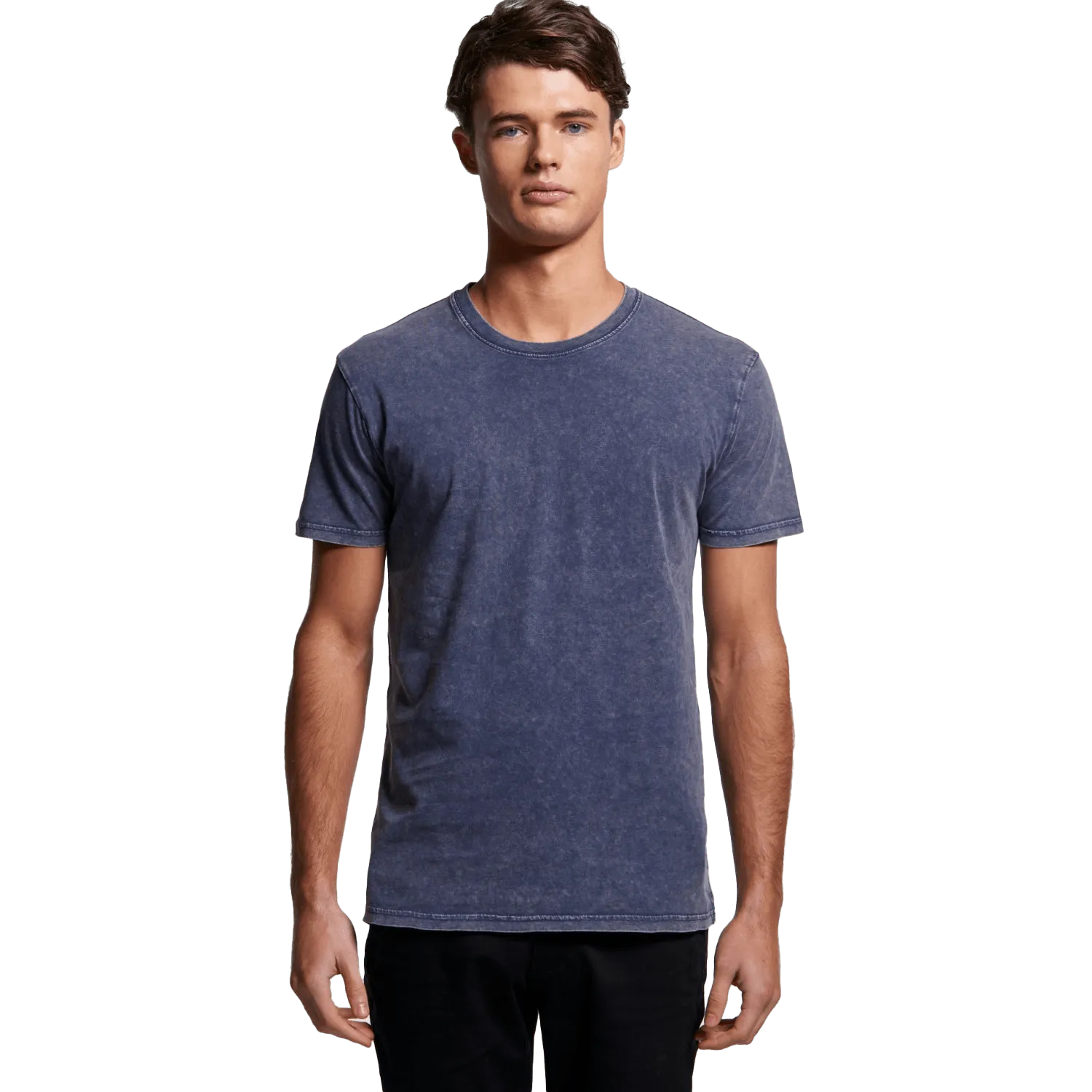 Mens Staple Stone Wash T-Shirt Model image