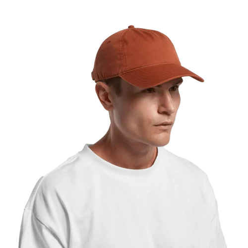 Access Five Panel Cap Model image