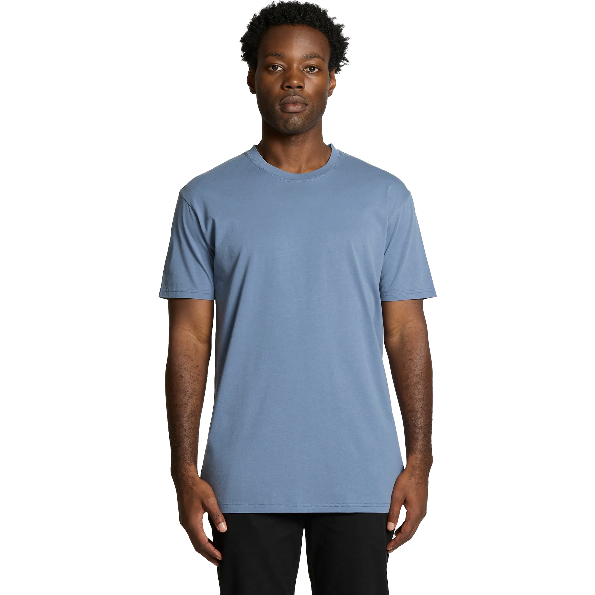 Mens Staple Faded T-Shirt Model image