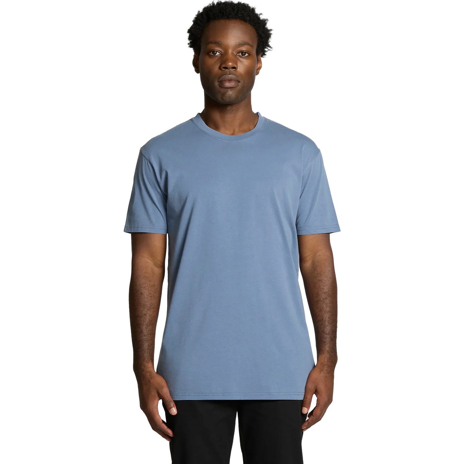 Mens Staple Faded T-Shirt Model image