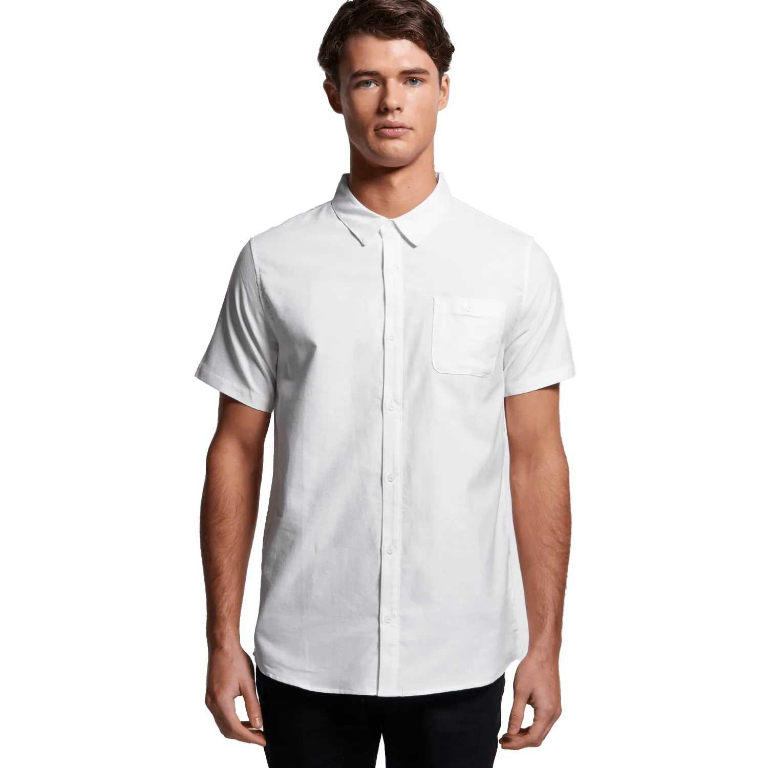 Mens Oxford Short Sleeve Shirt Model image