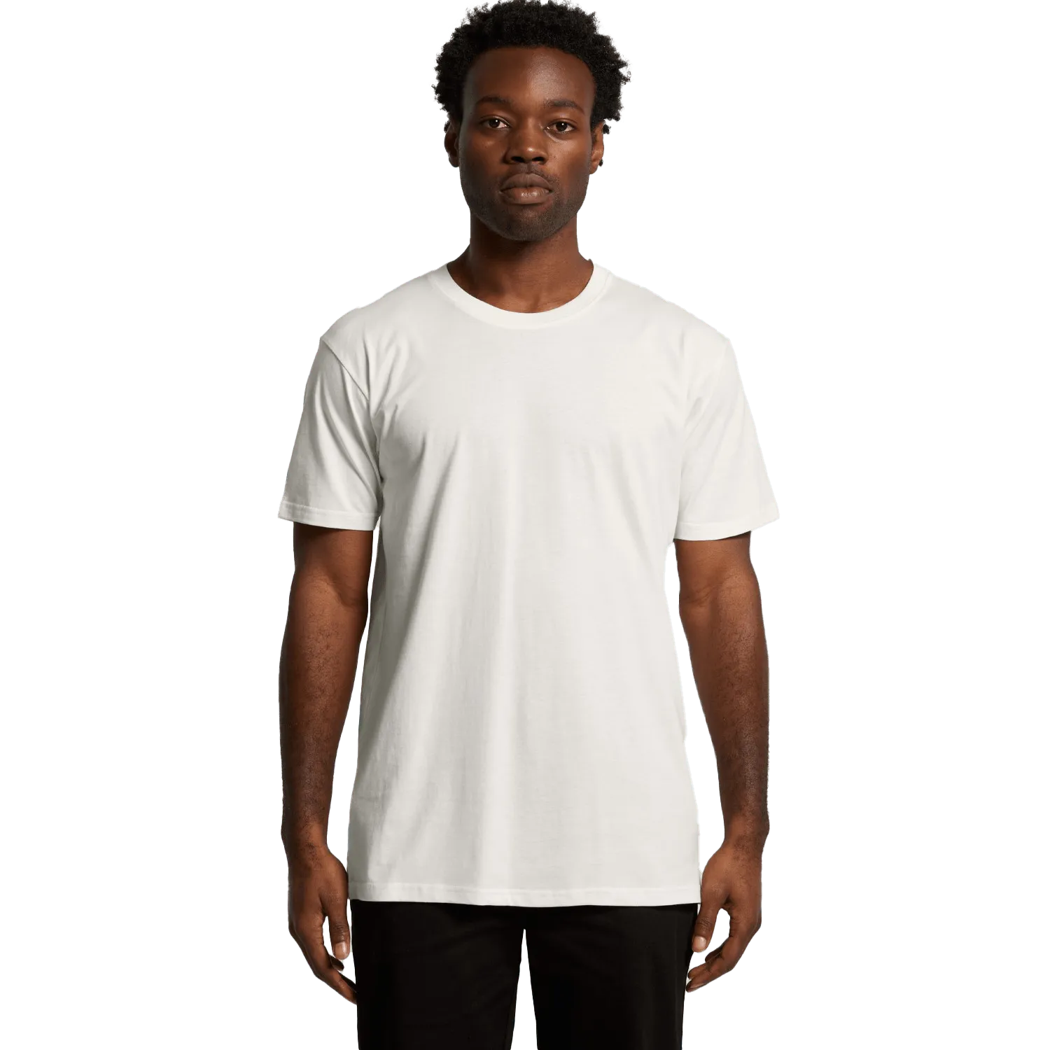 Mens Organic T-Shirt Model image