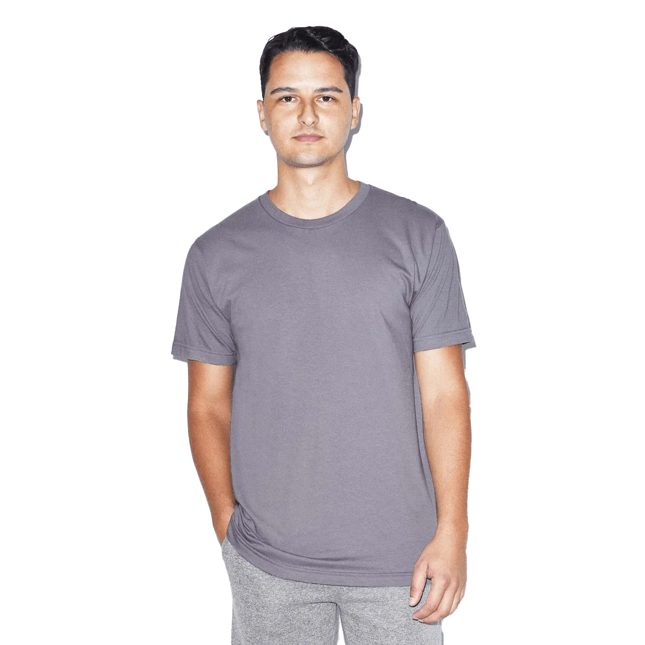 Adult Fine Jersey T-Shirt Model image