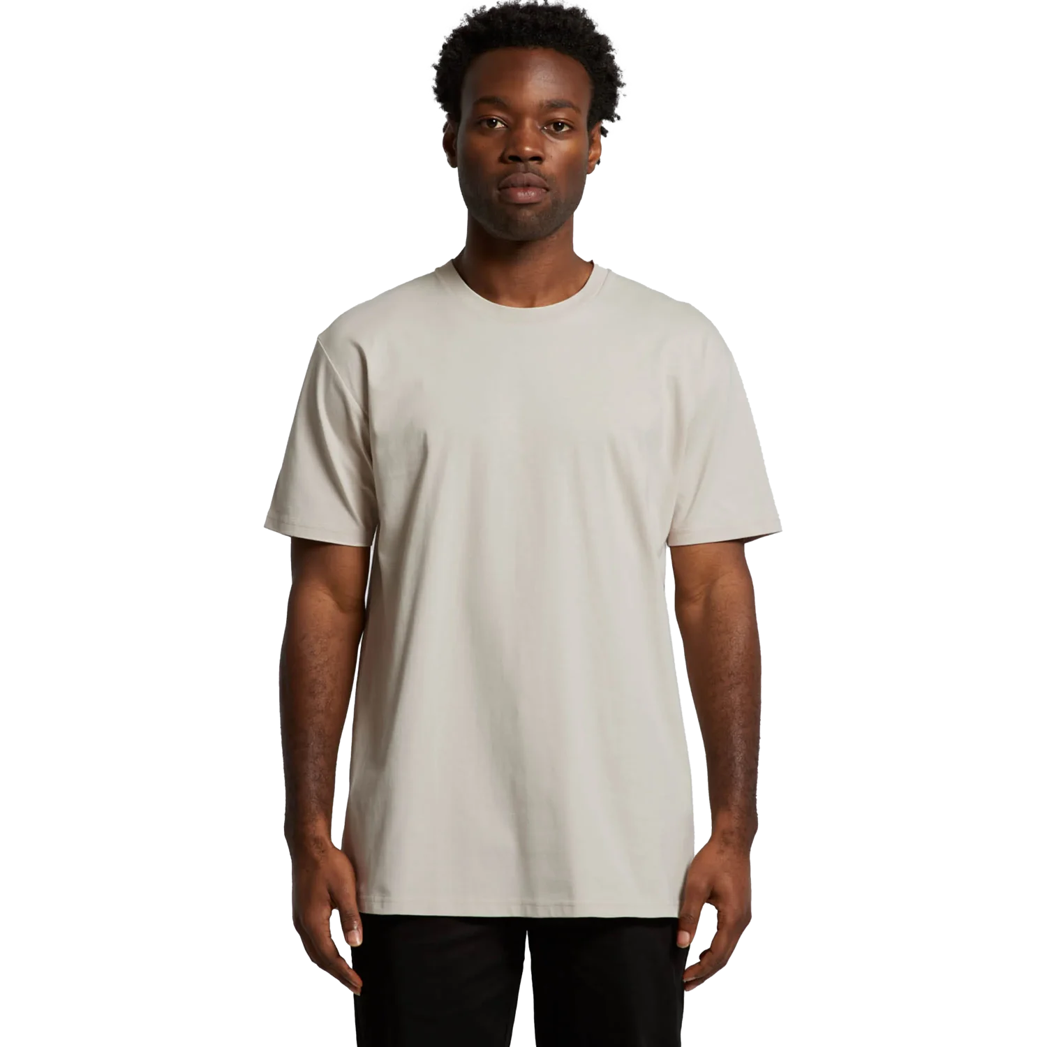 Mens Staple T-Shirt Model image