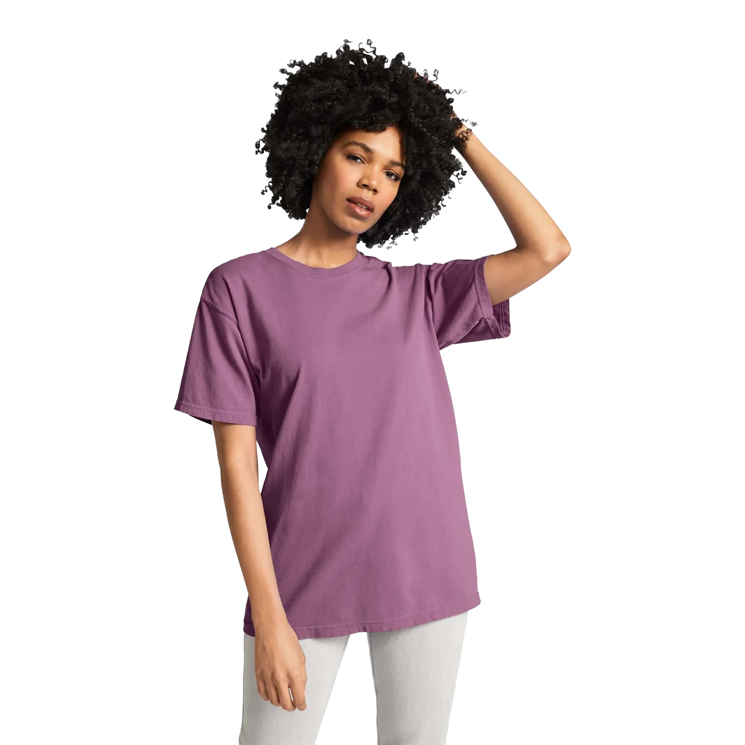 Adult Heavyweight T-Shirt Model image