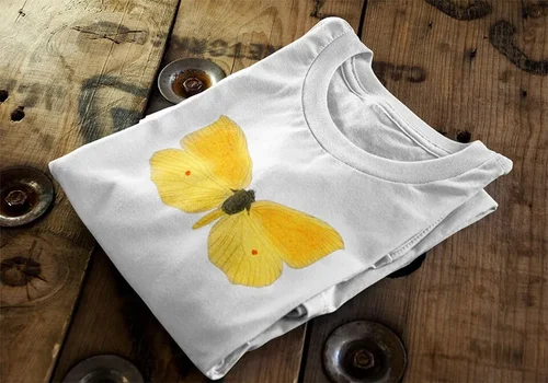 A shirt laying on a wooden table with a butterfly printed on it