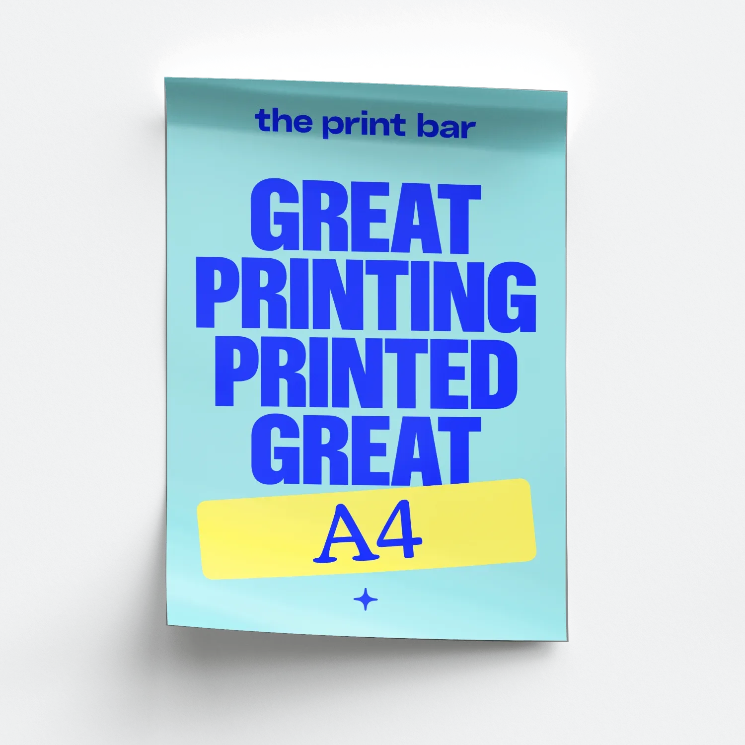 A4 Poster (210x297mm) Model image